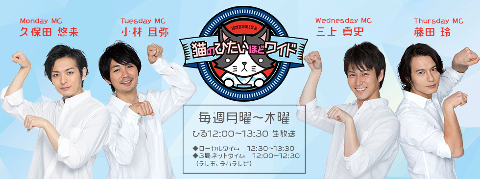 猫のひたいほどワイド