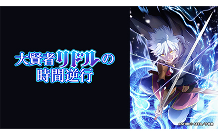 大賢者リドルの時間逆行