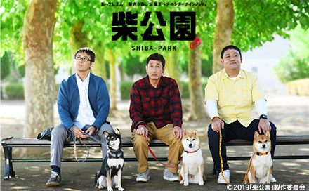 柴公園（再）