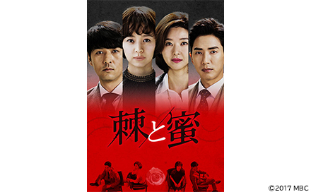 韓国ドラマ「棘＜トゲ＞と蜜」