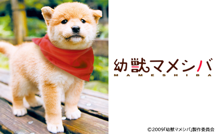 映画の時間「劇場版 幼獣マメシバ」