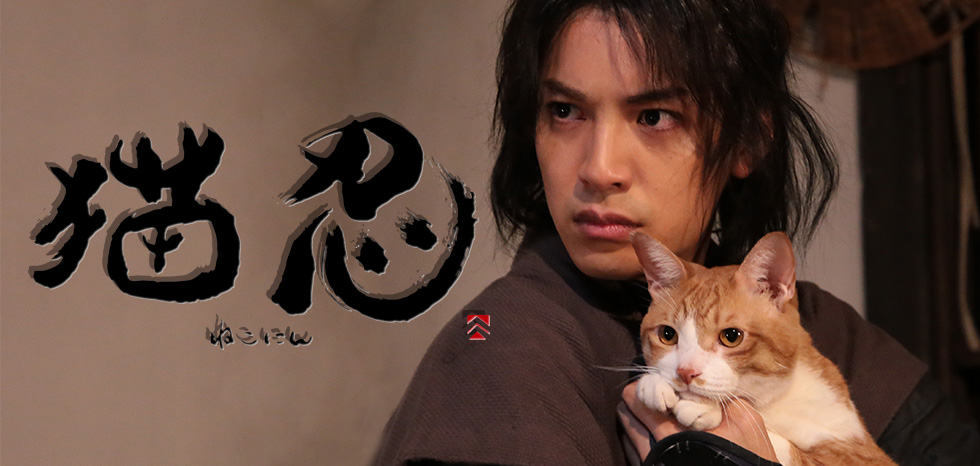 猫忍