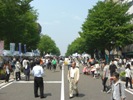 %E5%A4%A7%E9%80%9A%E3%82%8ACIMG0808.JPG