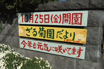 131116-23.jpg