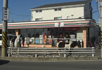 CIMG5350.JPG