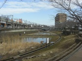 CIMG9001.JPG