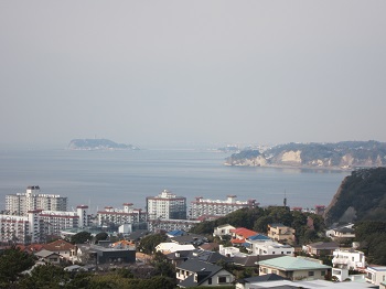 IMG_2849.JPG