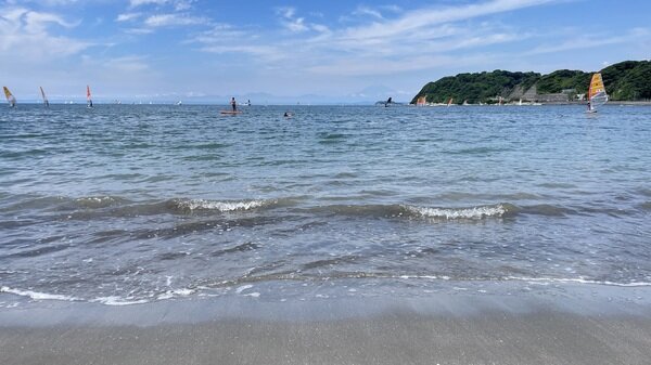IMG_0662.jpg