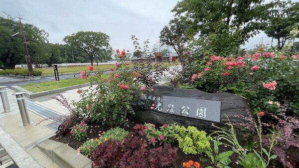 IMG_1055.jpg