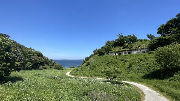 IMG_9497.jpg