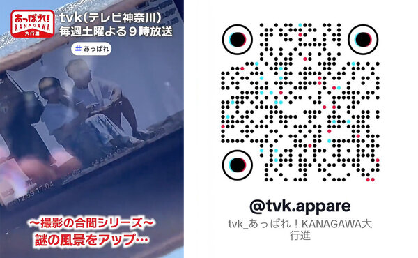 TikTok_Q2.jpg