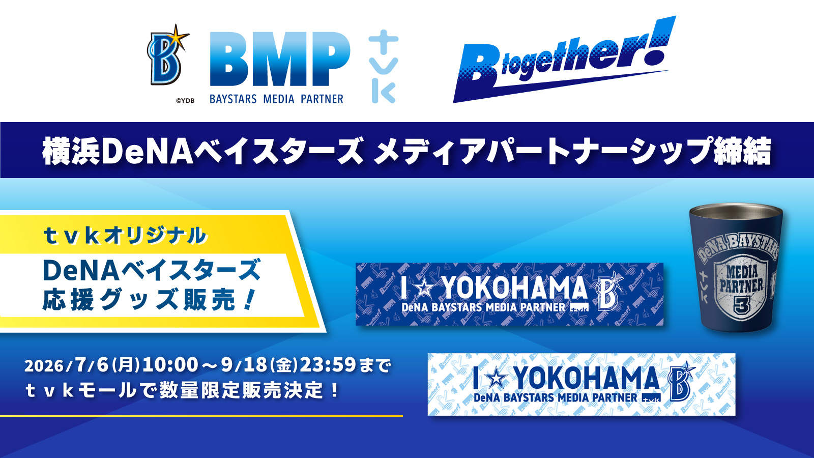 【2/22,2/23引取限定】テレビ(神奈川県座間市) デジタル3ch テレビ神奈川