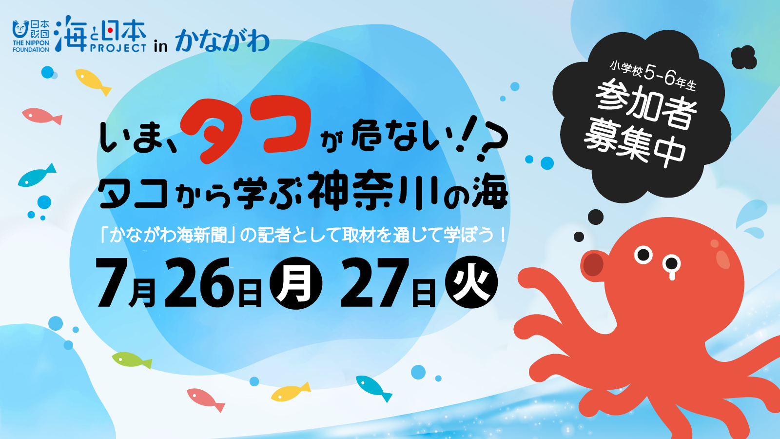海と日本project In かながわ いま タコが危ない タコから学ぶ神奈川の海 かながわ海新聞 の記者として取材を通じて学ぼう デジタル3ch テレビ神奈川