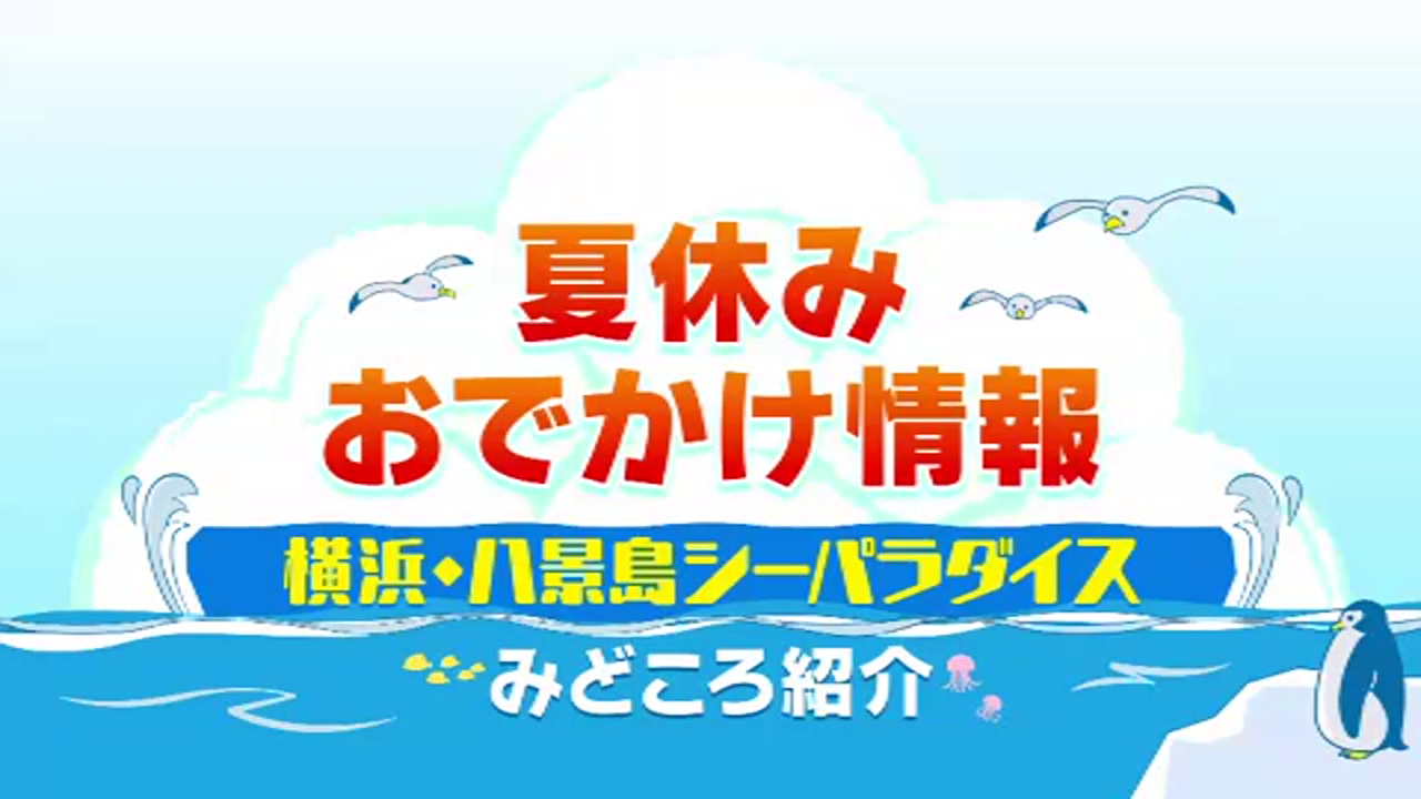 お手軽動画CMの制作イメージ1