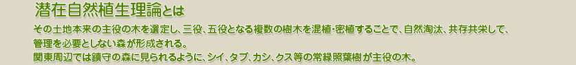 潜在自然植生理論とは
その土地本来の主役の木を選定し、三役、五役となる複数の樹木を混植・密植することで、自然淘汰、共存共栄して、管理を必要としない森が形成される。
関東周辺では鎮守の森に見られるように、シイ、タブ、カシ、クス等の常緑照葉樹が主役の木。