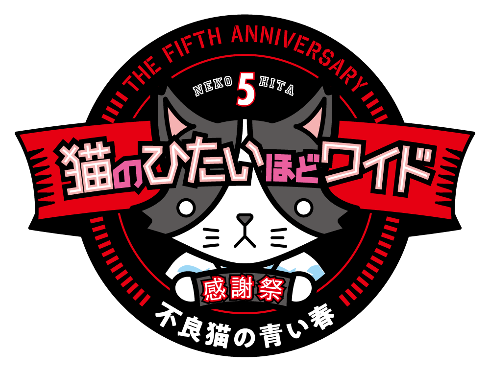 Tvk 猫のひたいほどワイド 祝５周年感謝祭 不良猫の青い春 イベントのご案内 デジタル3ch テレビ神奈川