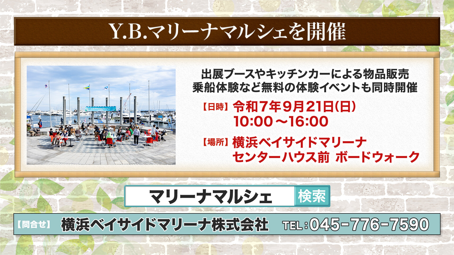 off.01_25_09_08.静止画1069.jpg
