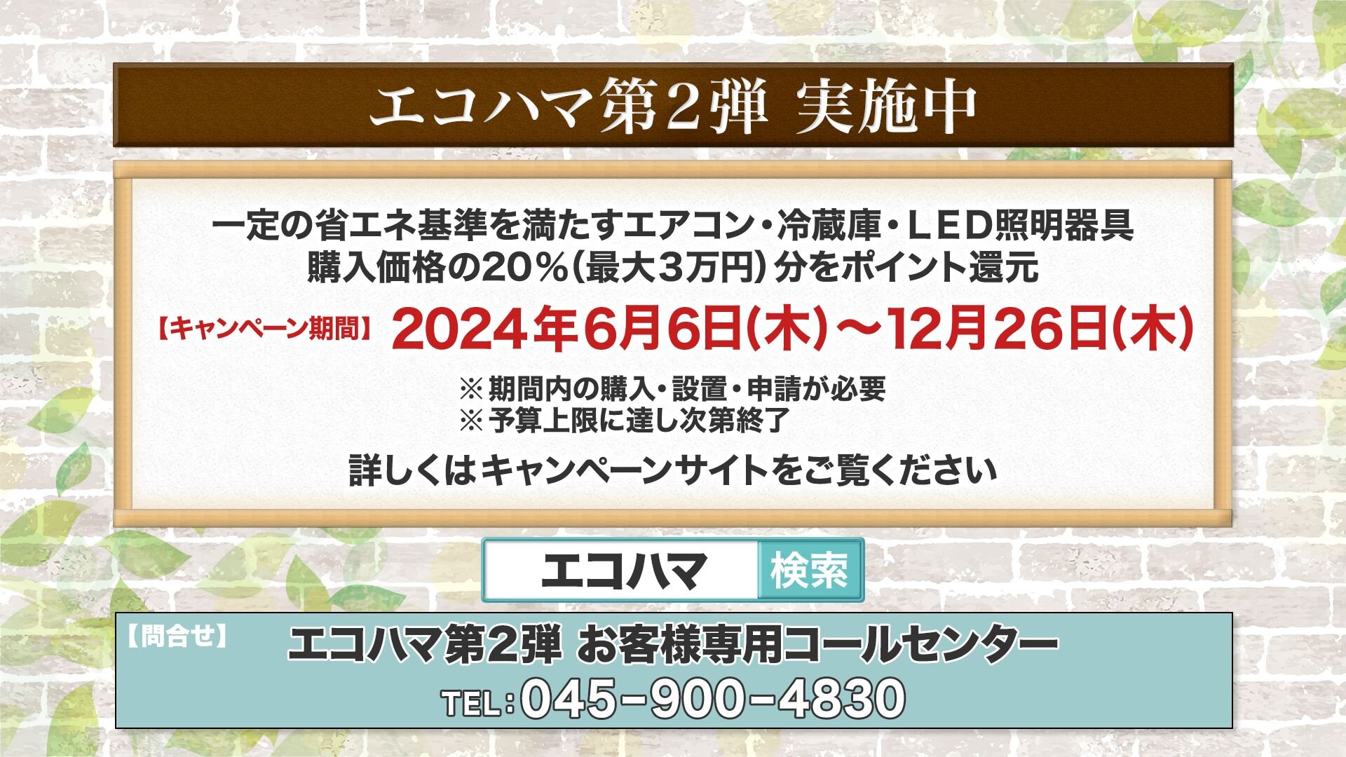 インフォ＿エコハマ.jpg