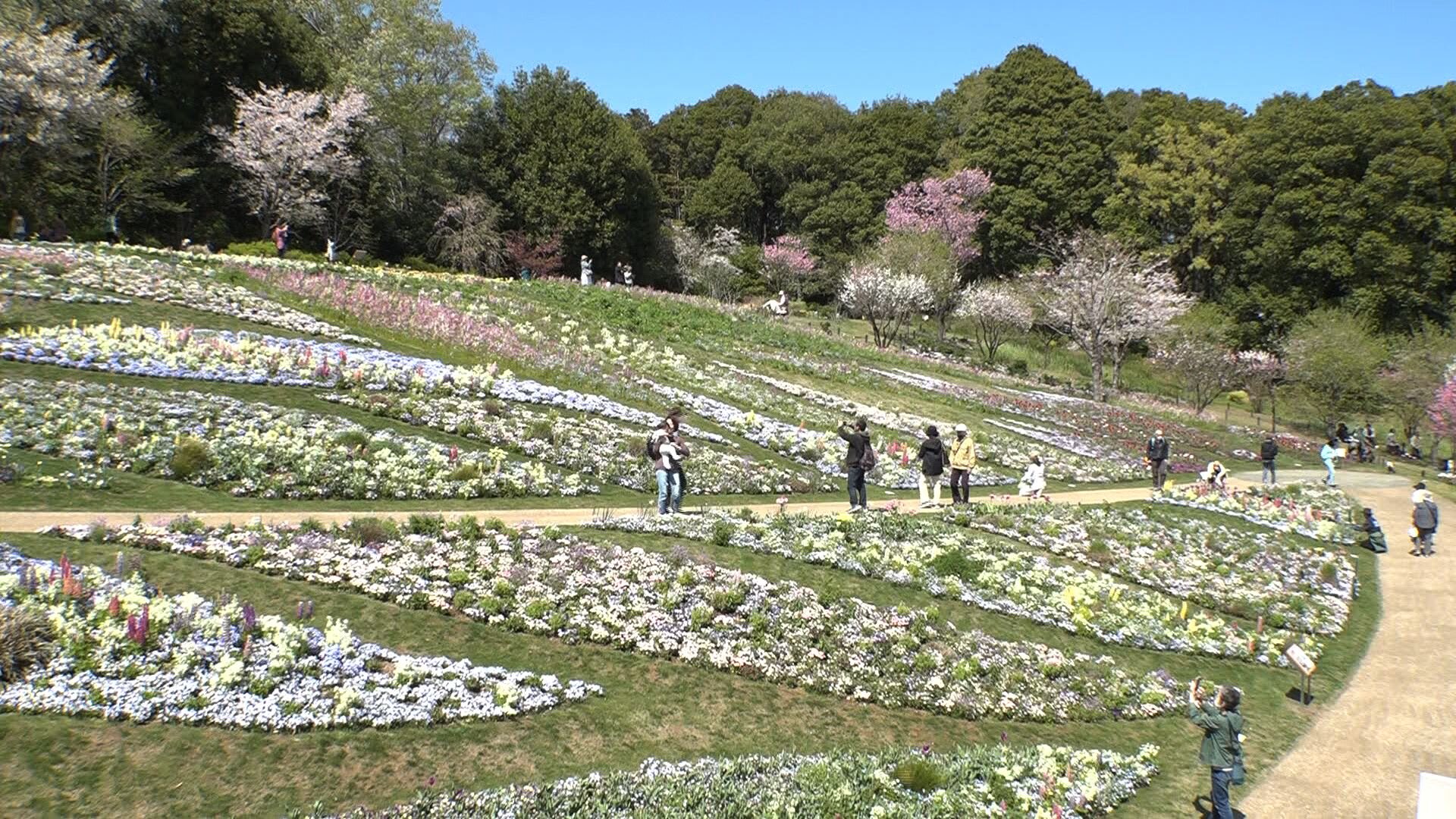 里山ガーデン1.jpg