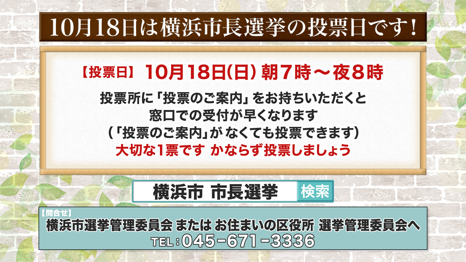 インフォ①.jpg