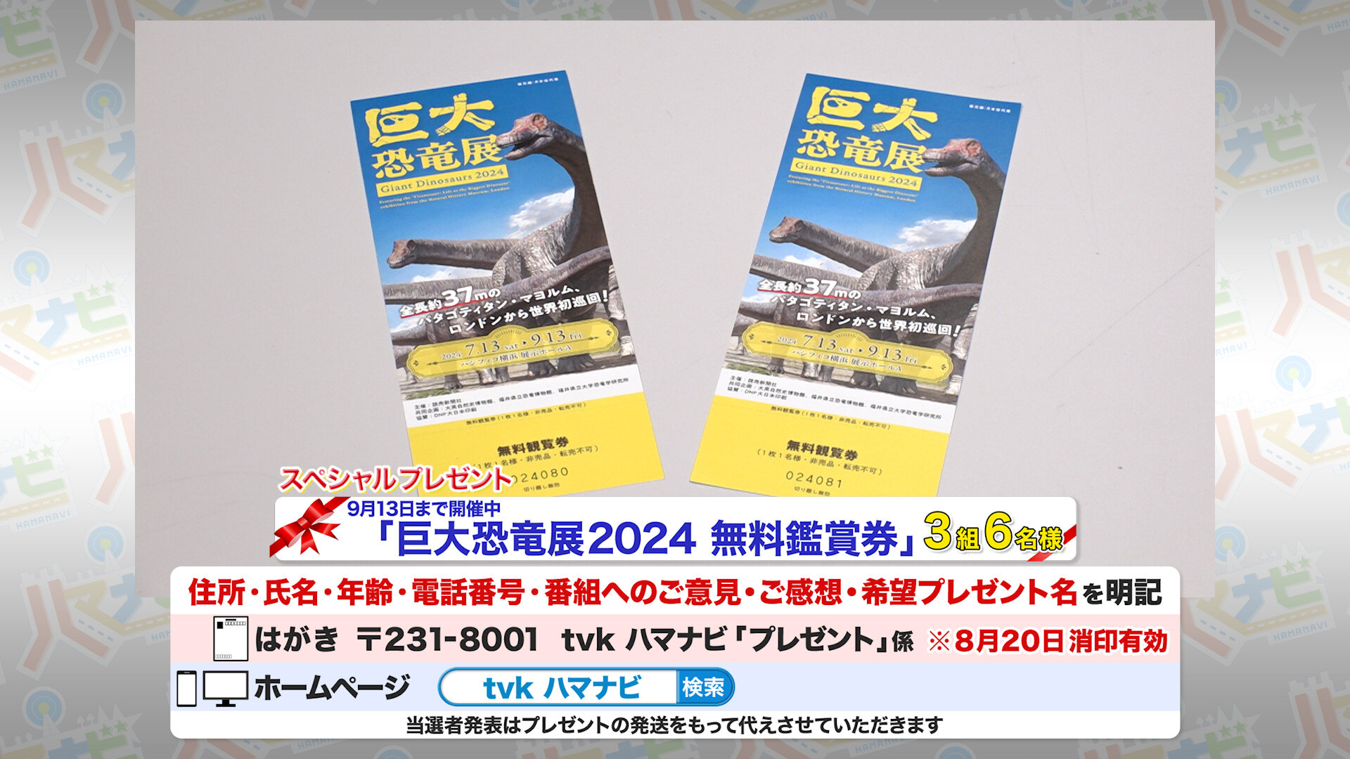 584_off_001.01_28_17_16.静止画901.jpg