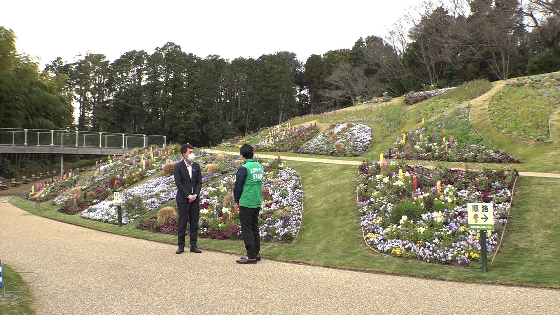里山１.jpg