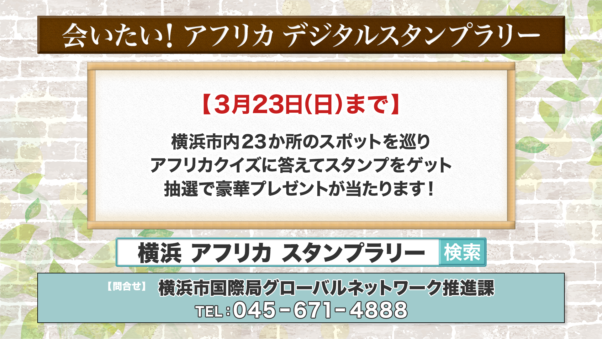 hama0315_info-0001.png