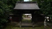 特集