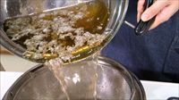 特集