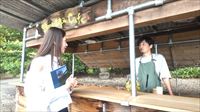 特集