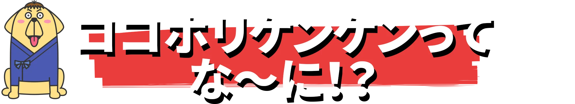 ココホリケンケンってな～に？