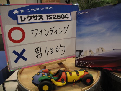 %EF%BC%A9%EF%BC%B3%E8%97%A4%E5%B3%B6.JPG