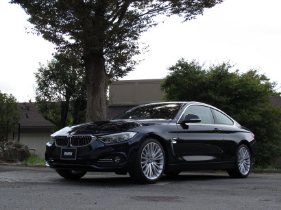 BMW4CM0009.jpg