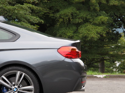BMW4CM0036.jpg