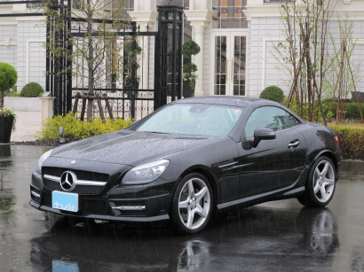 MERslk0006.jpg