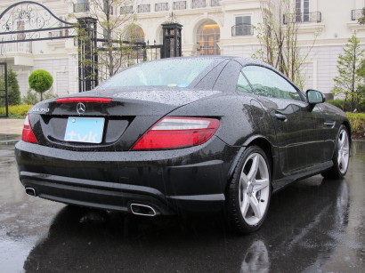 MERslk0017.jpg