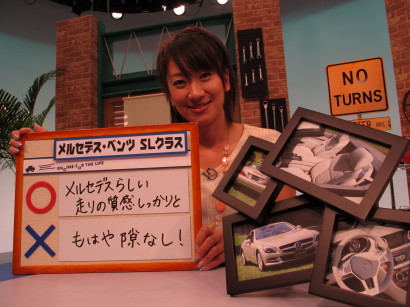 MerSLFUJISHIMA.jpg