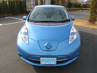 NISleafMZ3.jpg