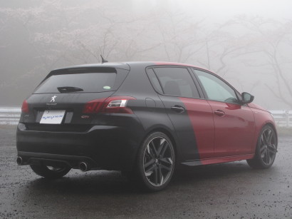 P308GTi0028.jpg