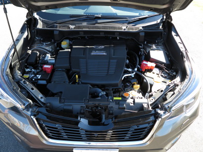 SF18ADV0013.jpg