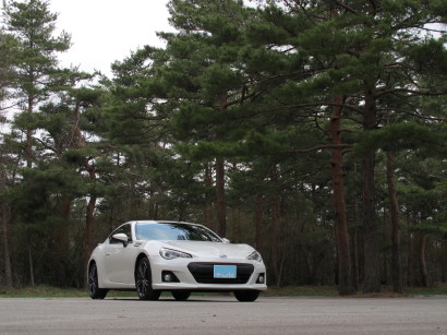 Sbrz0007.jpg