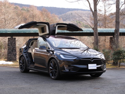 Tesla017MX0053.jpg