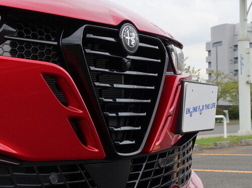ALFA26TNL0048.jpg