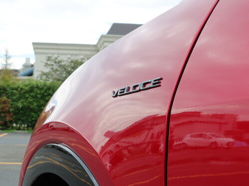 ALFA26TNL0057.jpg