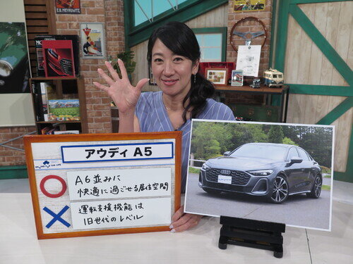 Audi25A5TQ0085.jpg
