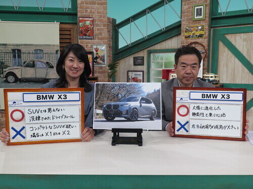 BMW25x3de0004.jpg