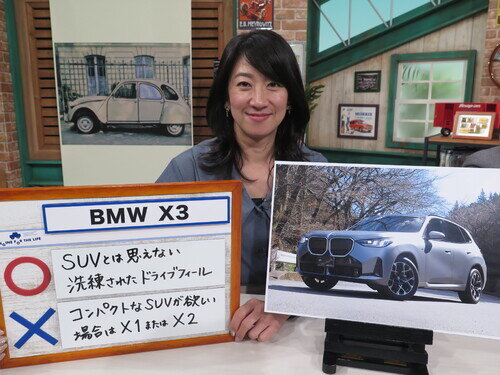BMW25x3de0005.jpg