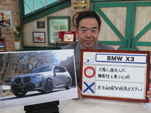 BMW25x3de0006.jpg