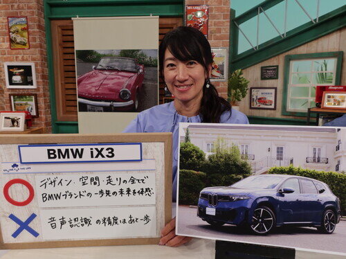 Bmw26Ix3Msp0108.jpg