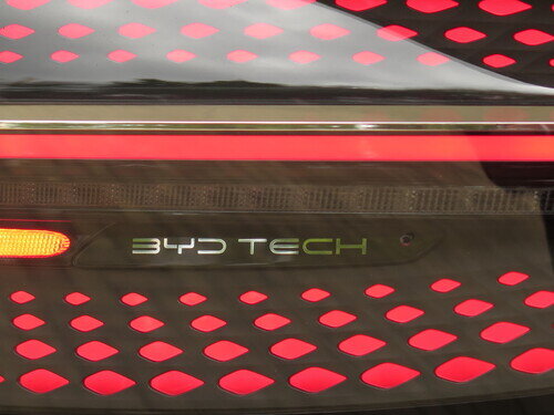 Byd24Seal0035.jpg